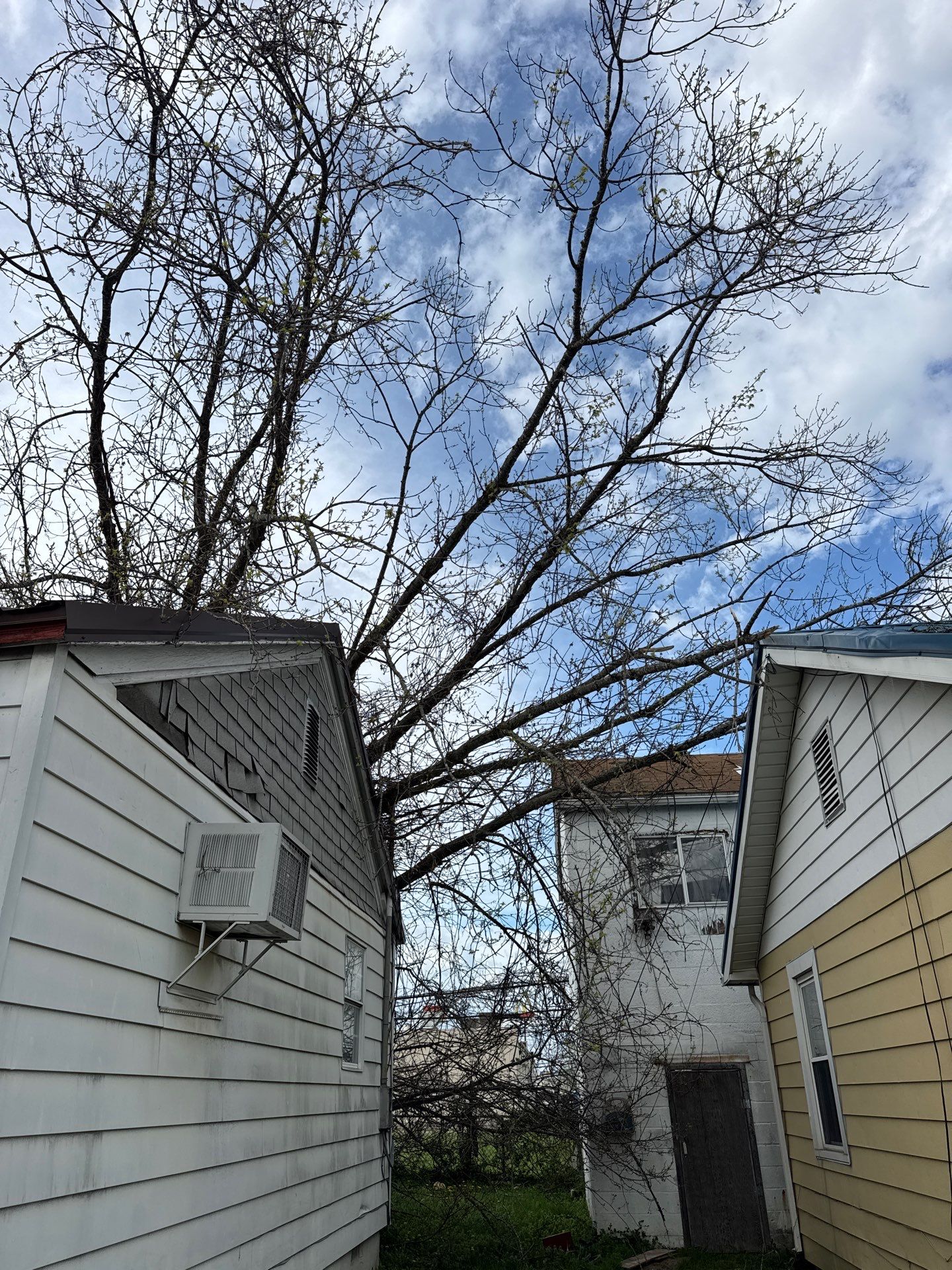 Project in Nitro, WV Rotator Crane Lifts Tree Off House | Nitro WV • One Wrong Move Job | Rotator Crane Tree Removal • Heavy Rescue Tree Job | Nitro WV • Extreme Tree Removal Over Home | Nitro WV by Jones Empire LLC