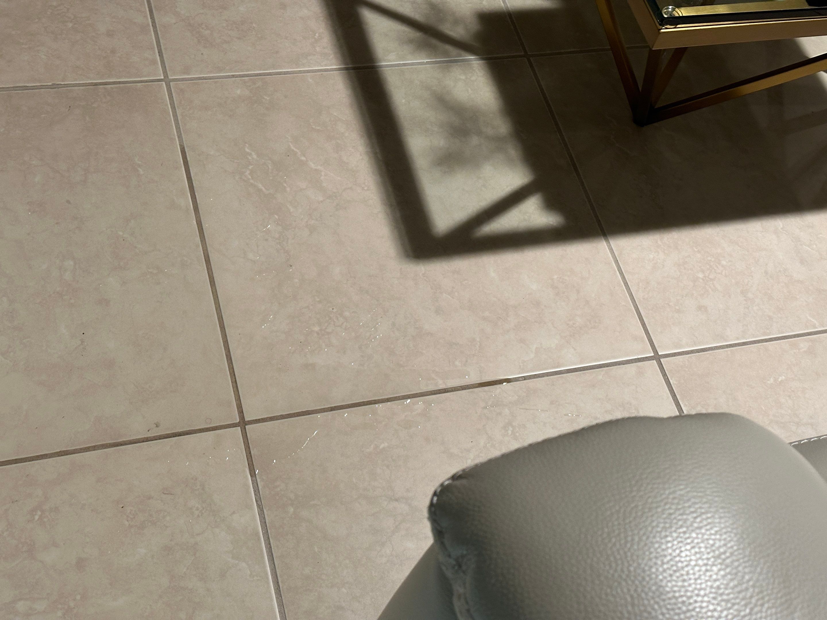 Water Damage Claim in Royal Palm Beach by FLAPA & KeyStone