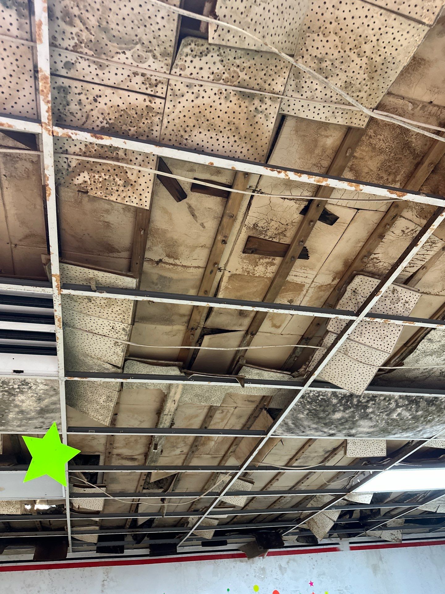 Extreme Mold Contamination: Full-Building Remediation Case Study by BlueRed Restoration