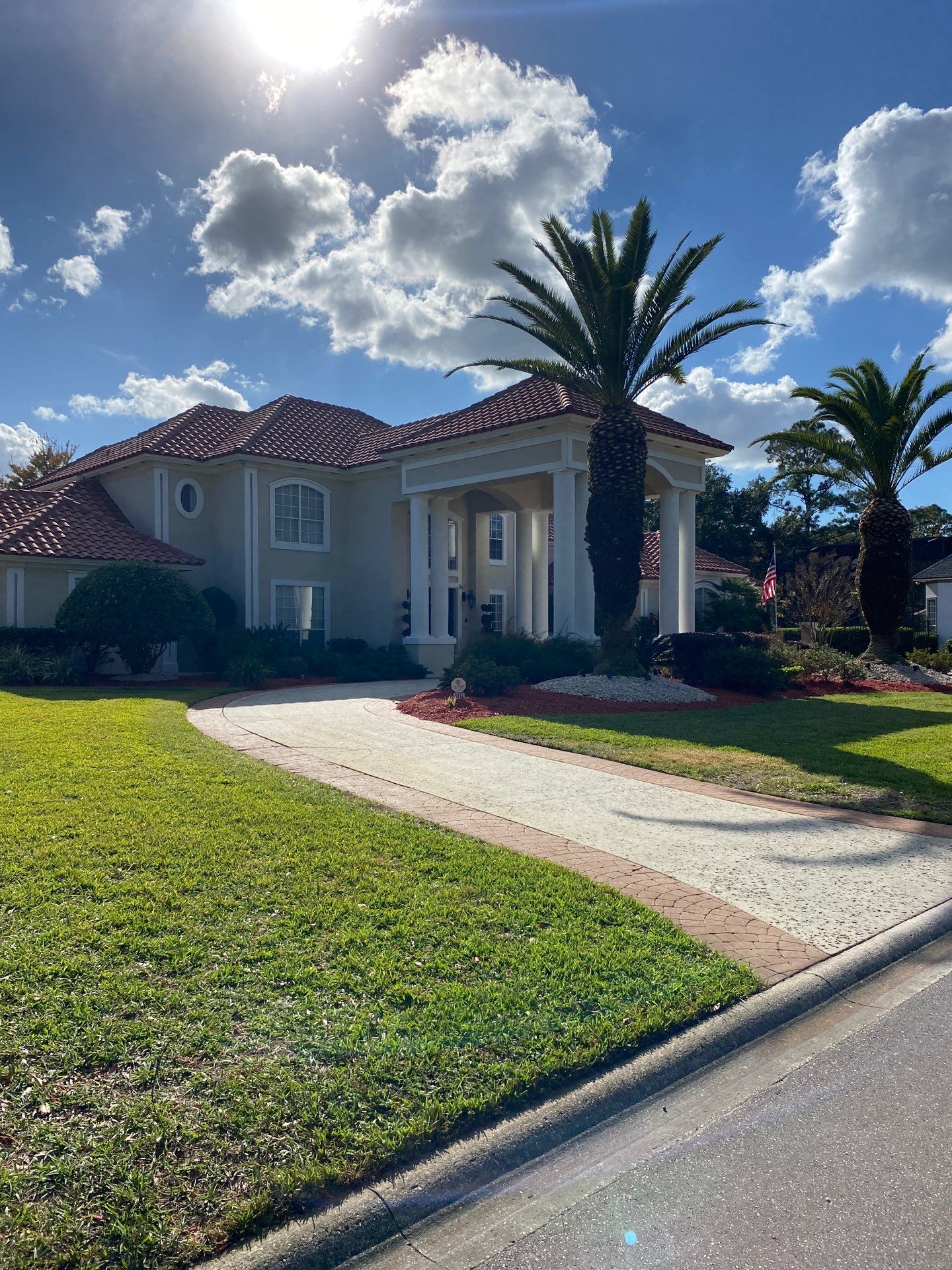 Deerwood Resident | Palm Trimming & Ground Cover by ProGreen Services