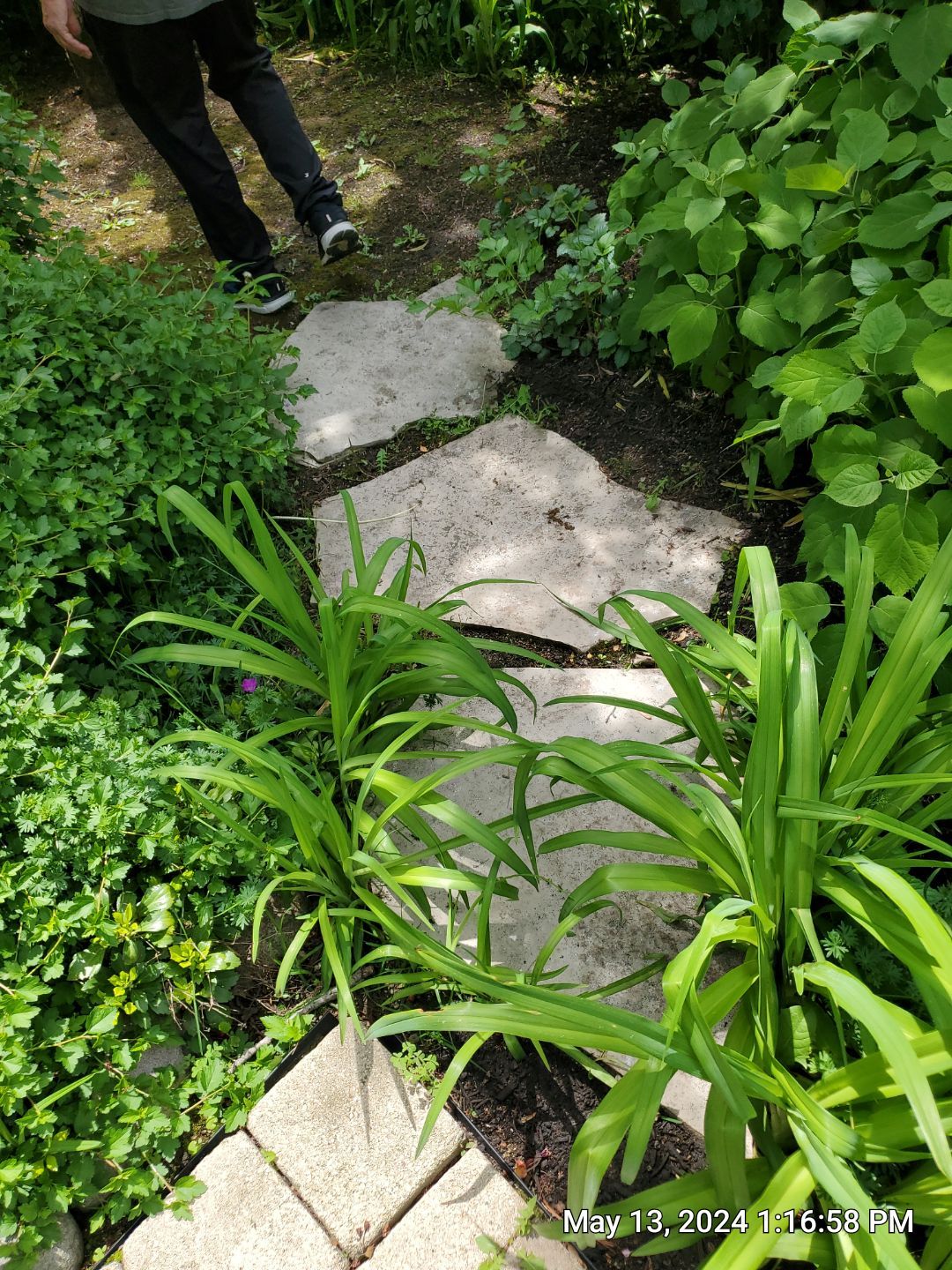 Brick paver clean, sand and seal.  using Surebond SB-1300 by Northern Power Washing LLC.