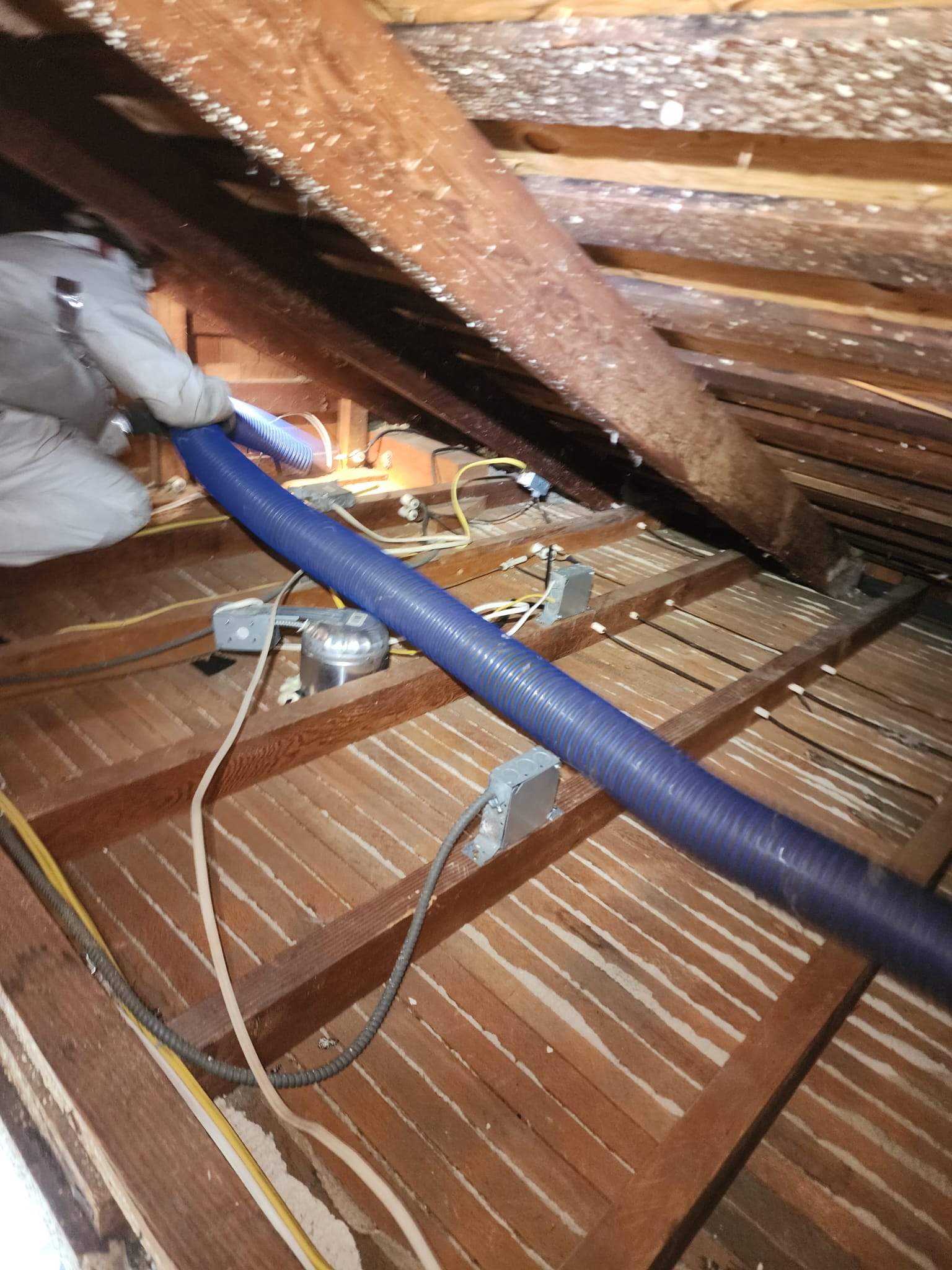 Project by Advanced Attic Solutions by Advanced Attic Solutions