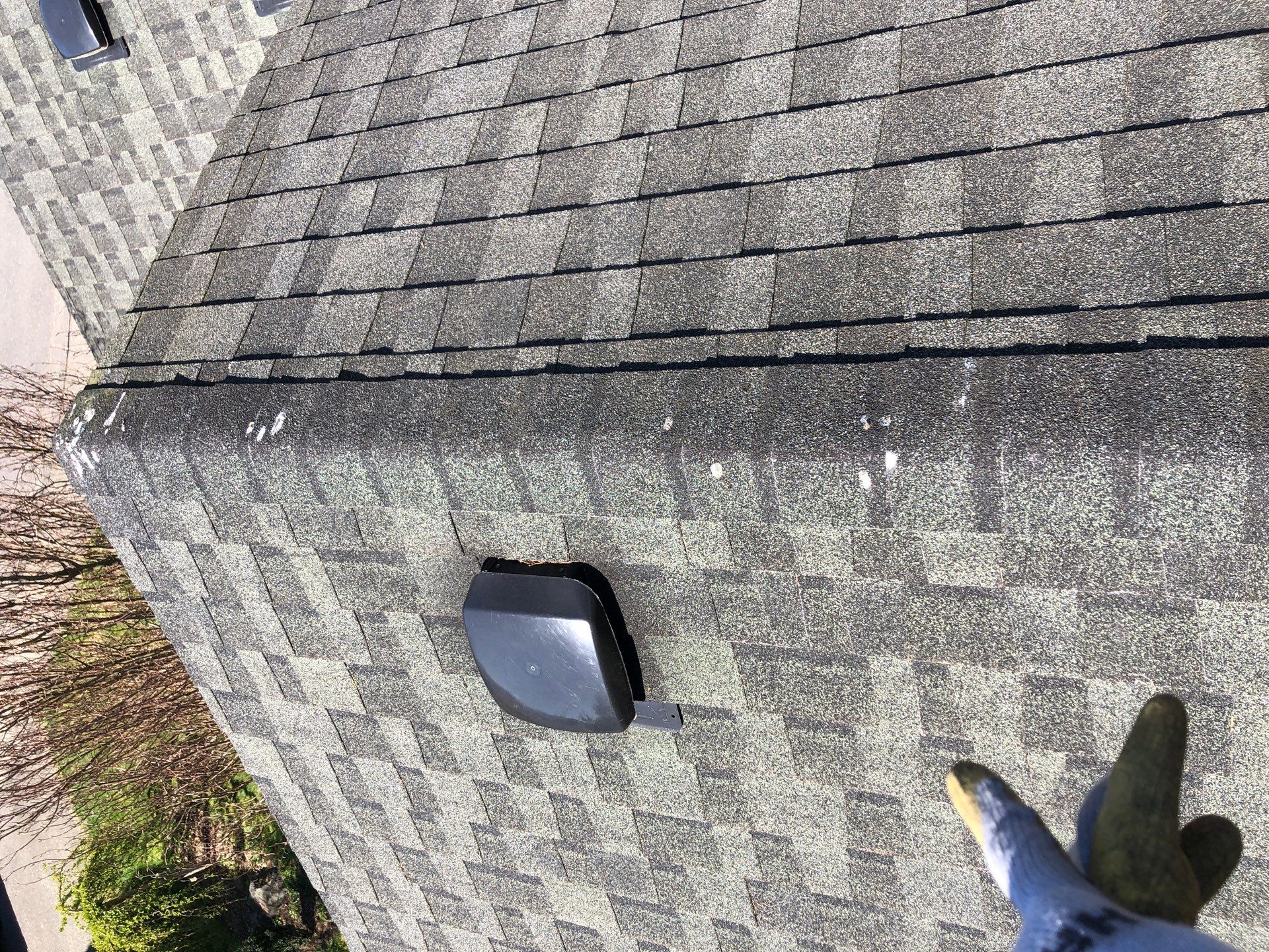 Project in Bellingham by Connolly Construction Company