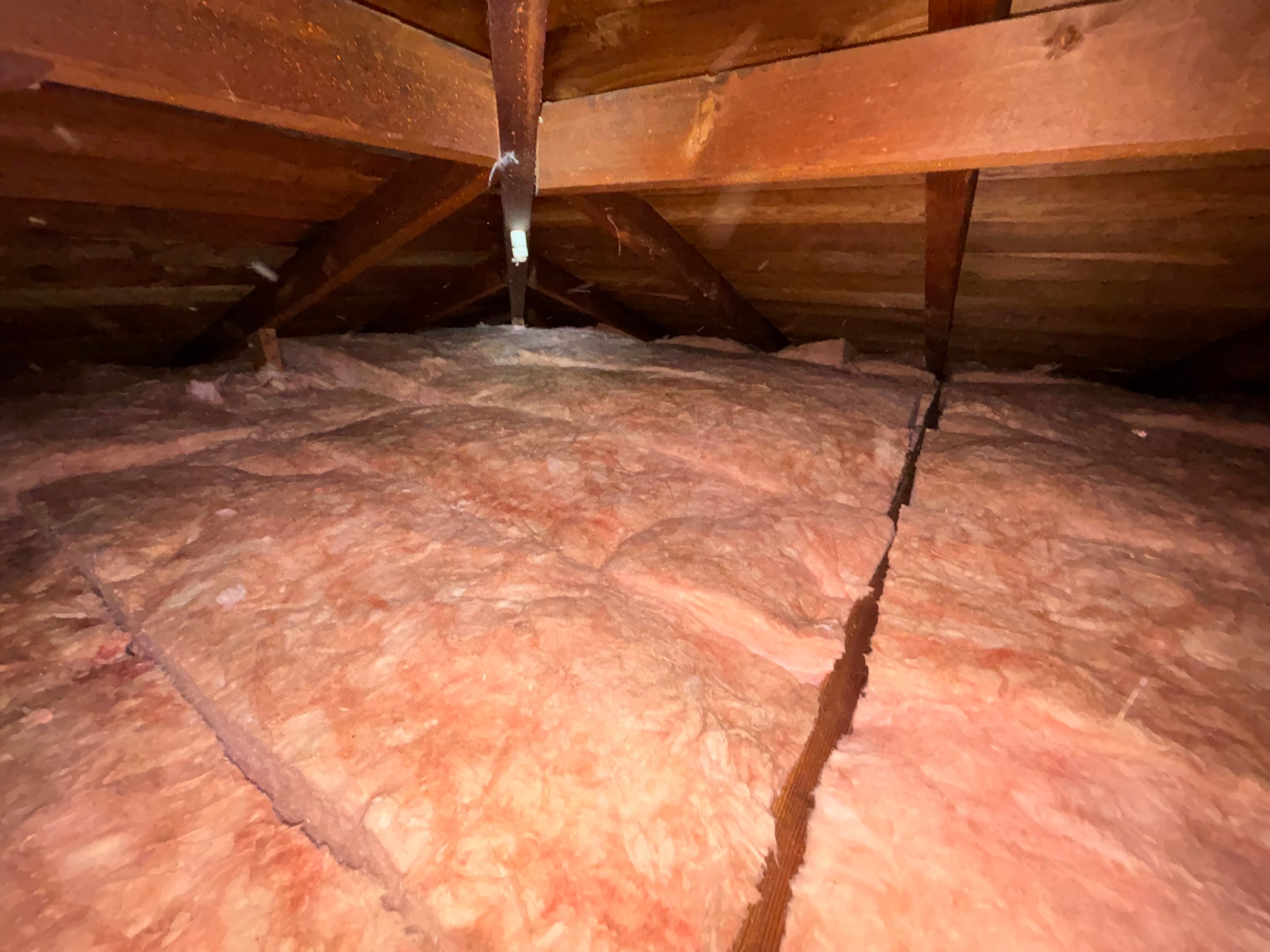 Project in San Pedro by Insulation Labs