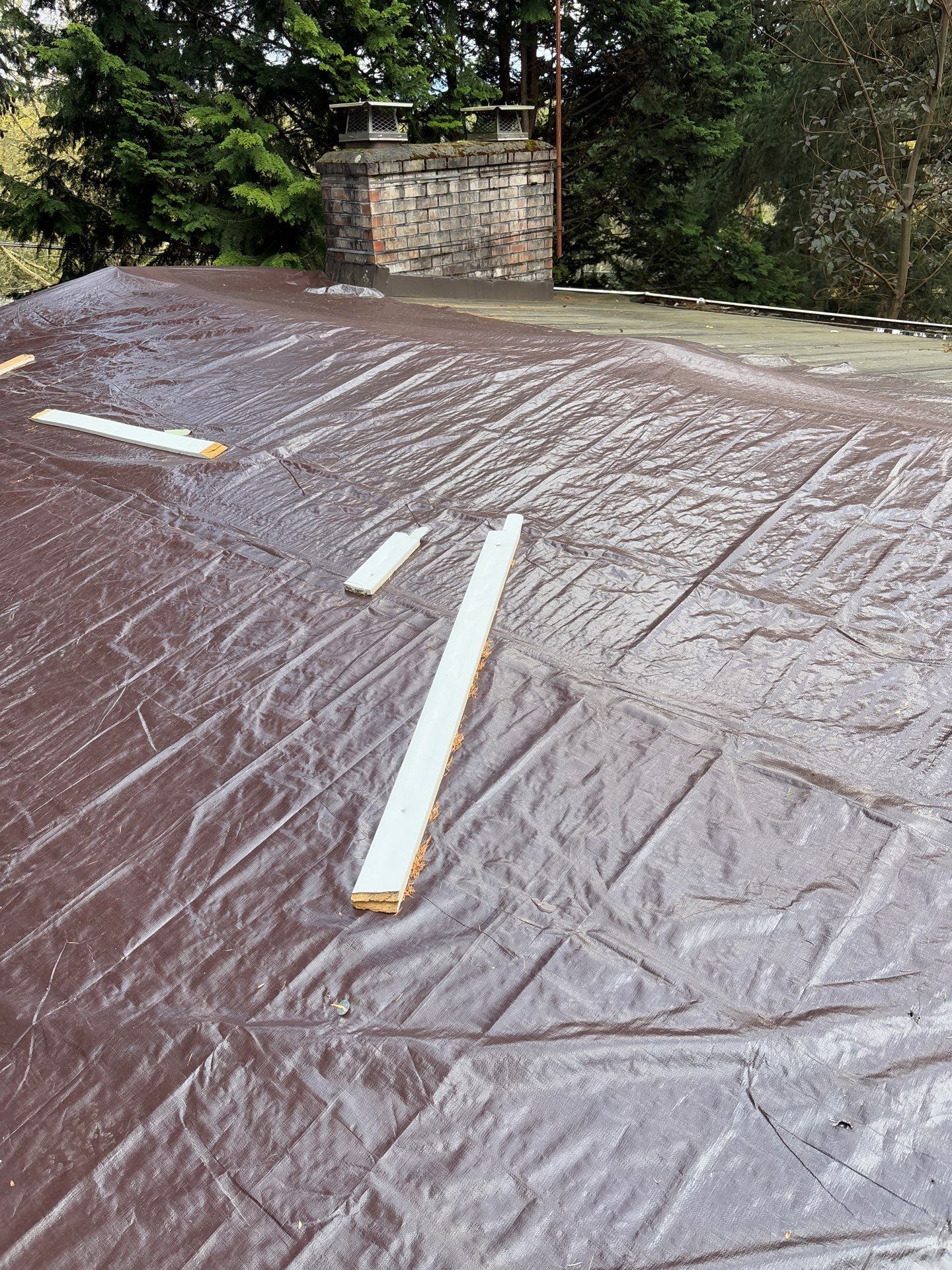 Seattle WA, GAF Everguard TPO  by Proline Roofing & Restoration LLC