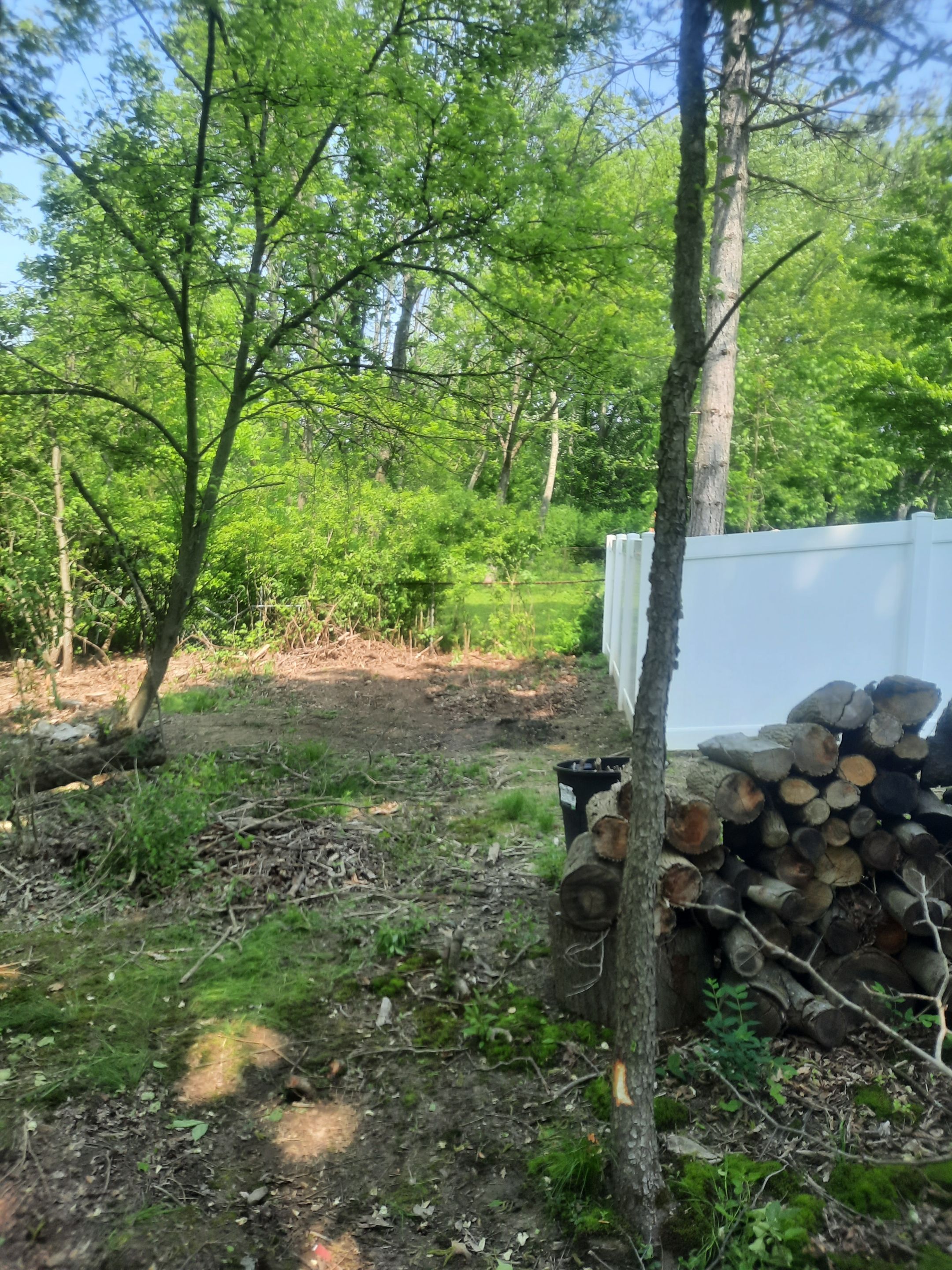 Tree Removal using Tree Removal by Mike Jones & Sons Tree Service LLC 