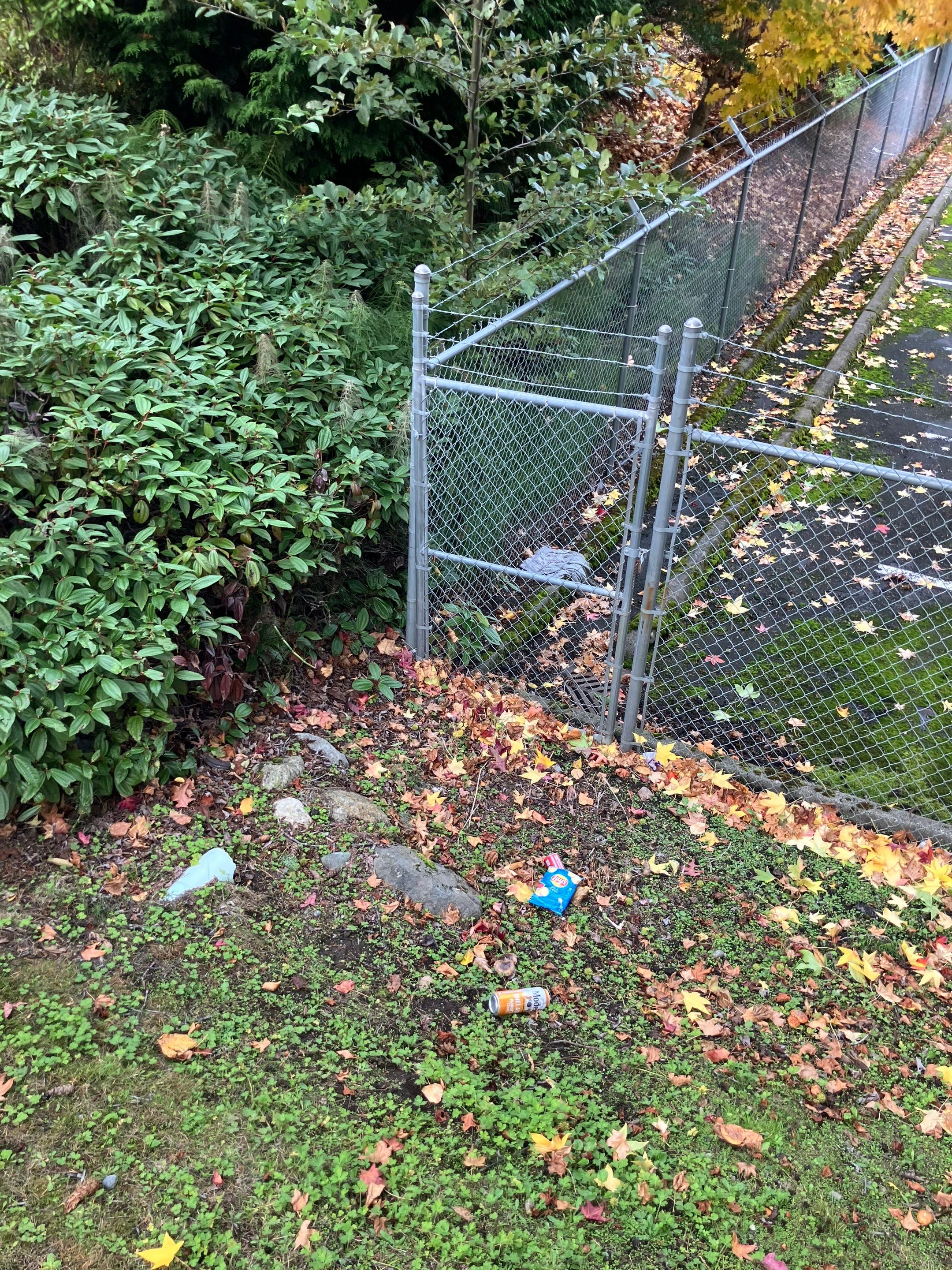 Access Laser Company/Commercial  by Jireh Asphalt & Concrete Inc 