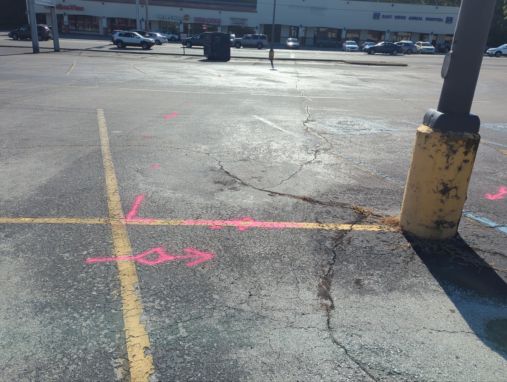 Parking Lot Utility Locate / GPR Investigation by Alsip Locating Service, LLC