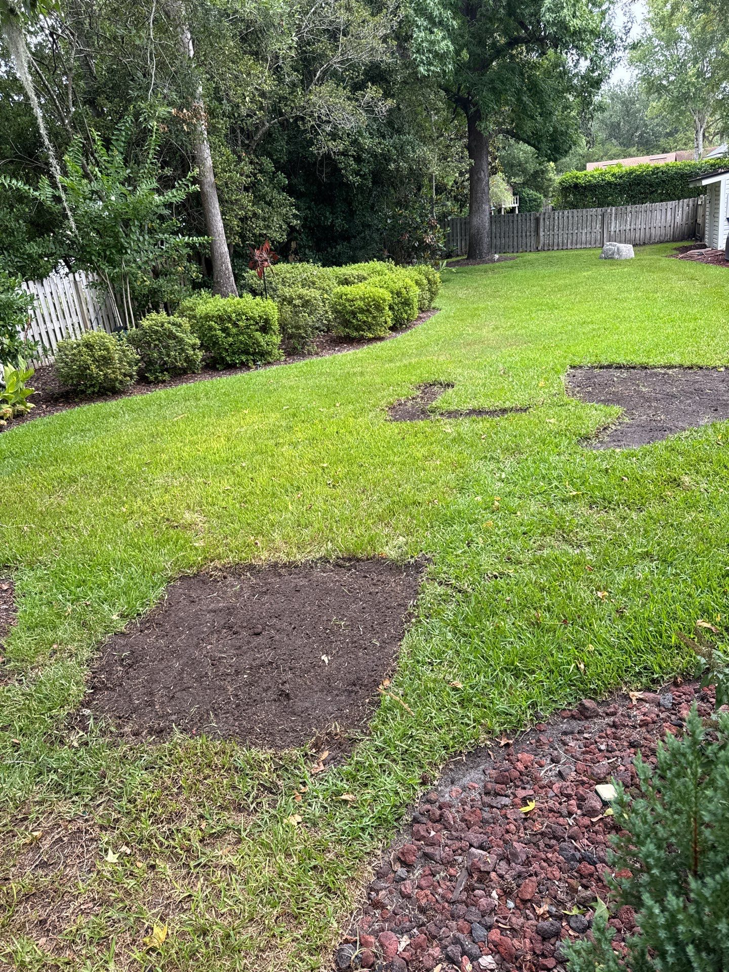 Deerwood Resident | Sod & Plant Installation by ProGreen Services