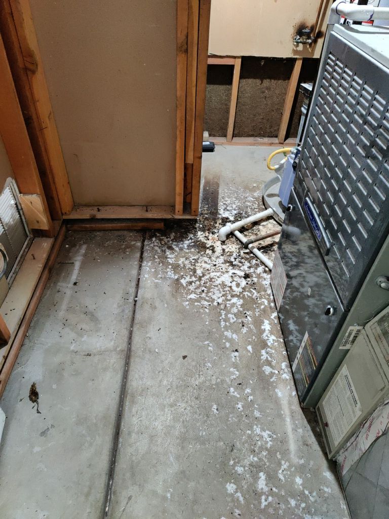 Sewage Backup Cleanup by Accountable Home Services