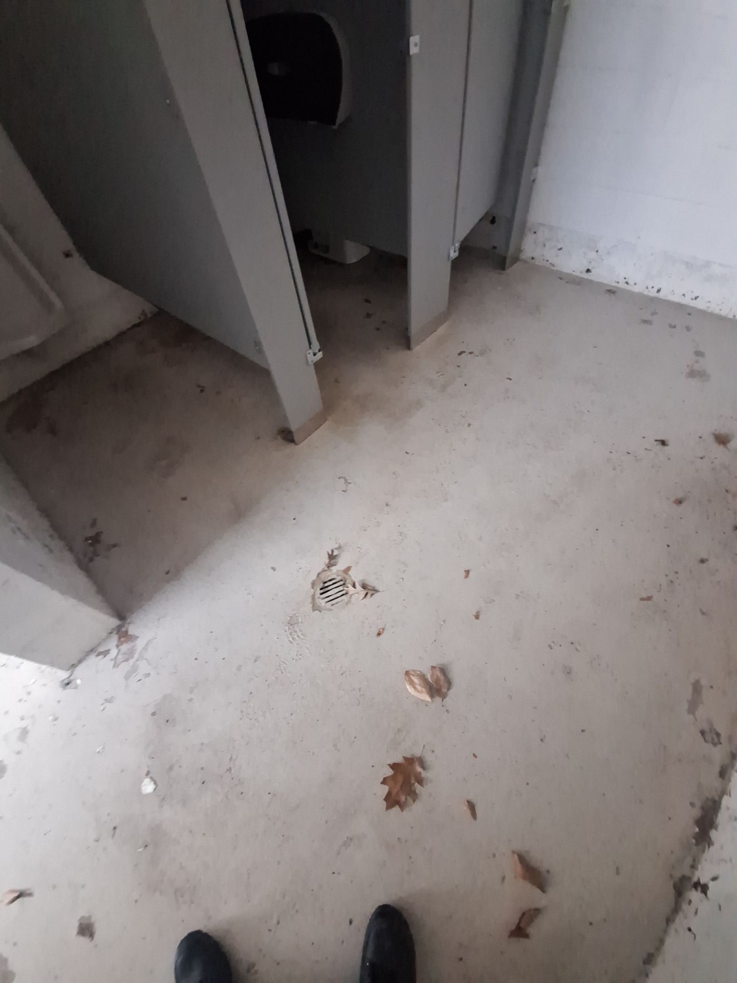 Bathroom Repaint & Epoxy Floor coating by Gordon Painting