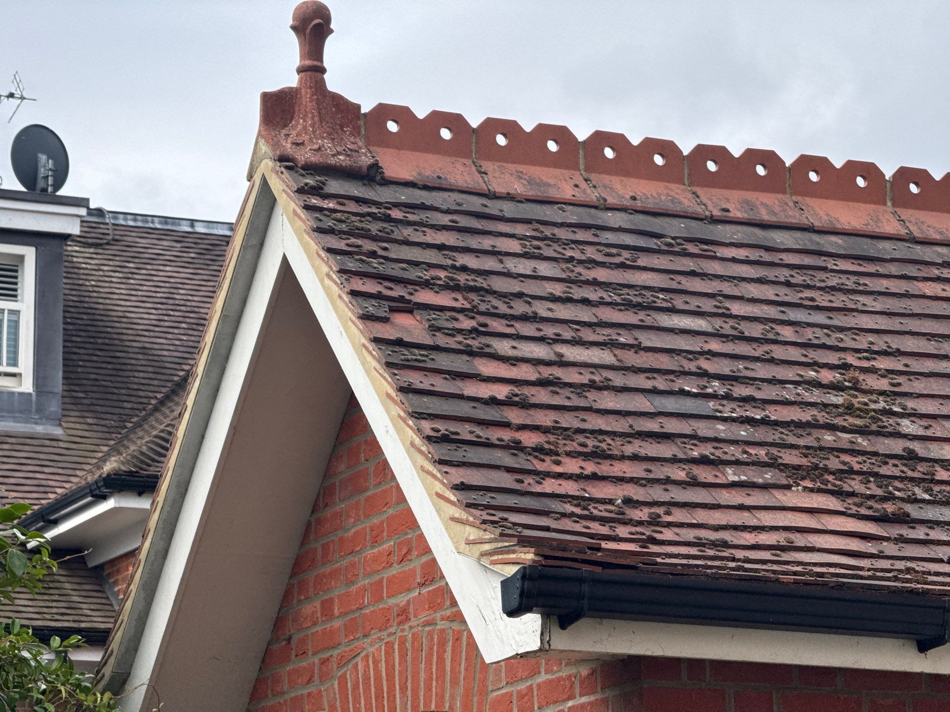 Roof Clean by Ges Exterior Cleaning ltd