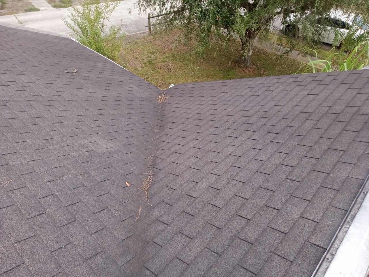 Residential Roofing Repair using Atlas Pinnacle Pristine Tan Mist by Talya Roofing