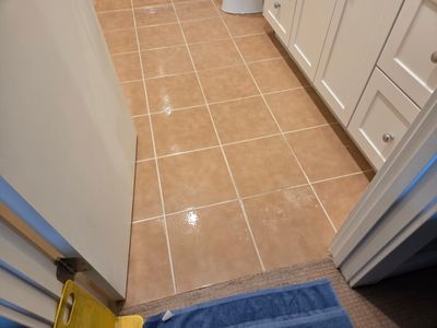 Bathroom Tile and Carpet Cleaning