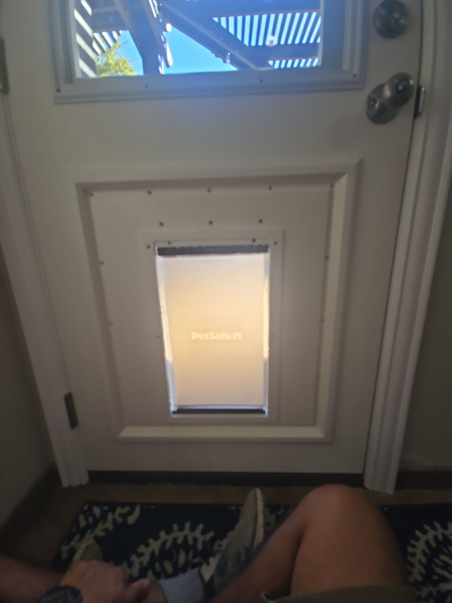 Dog Door Replacement by First Out Roofing 