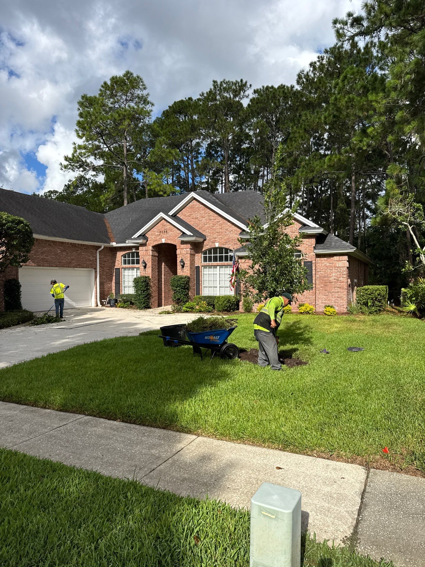 Residential | Shrub Trimming by ProGreen Services