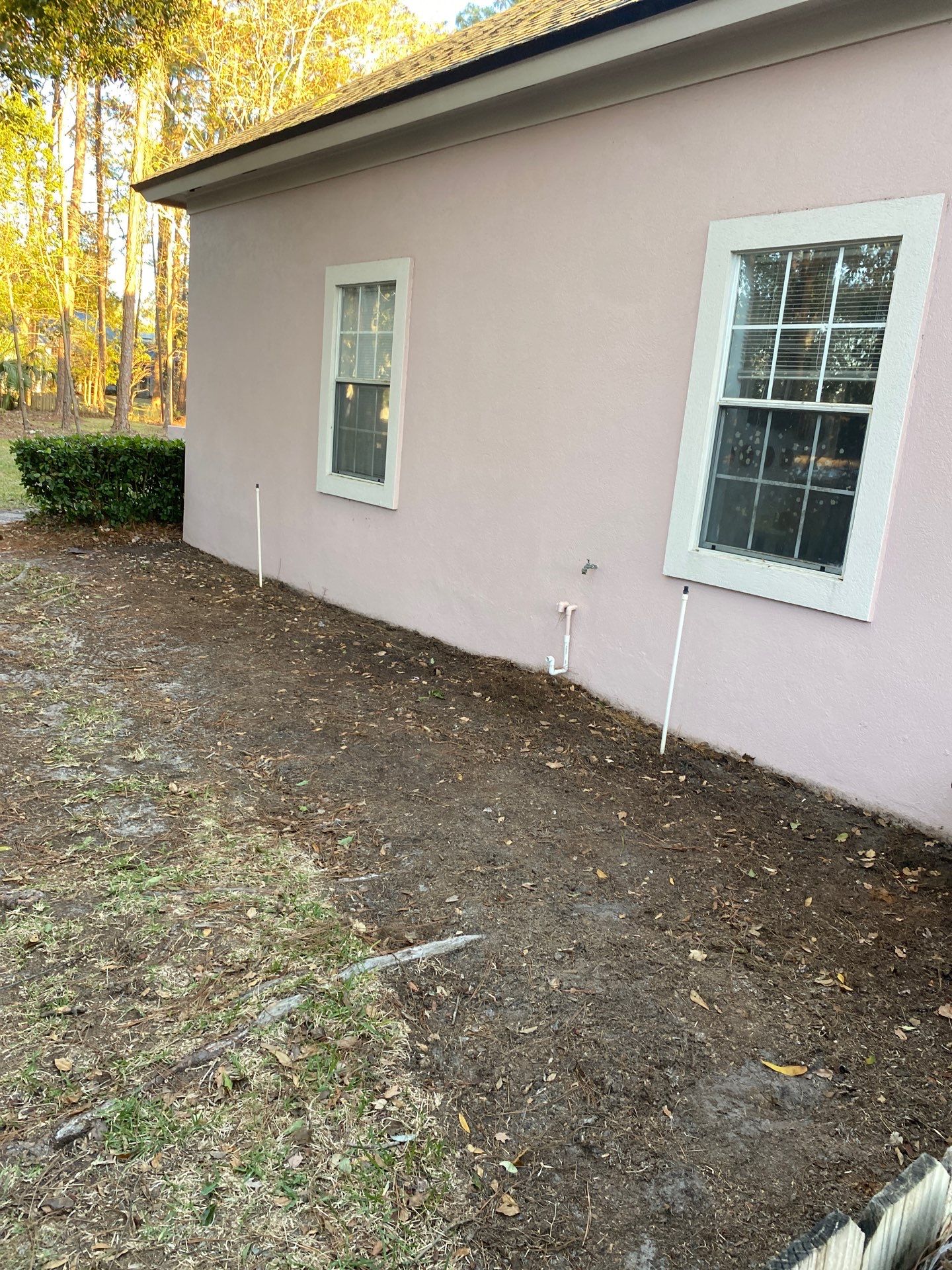 Deerwood Resident | Tree Removal & Clean-Up by ProGreen Services