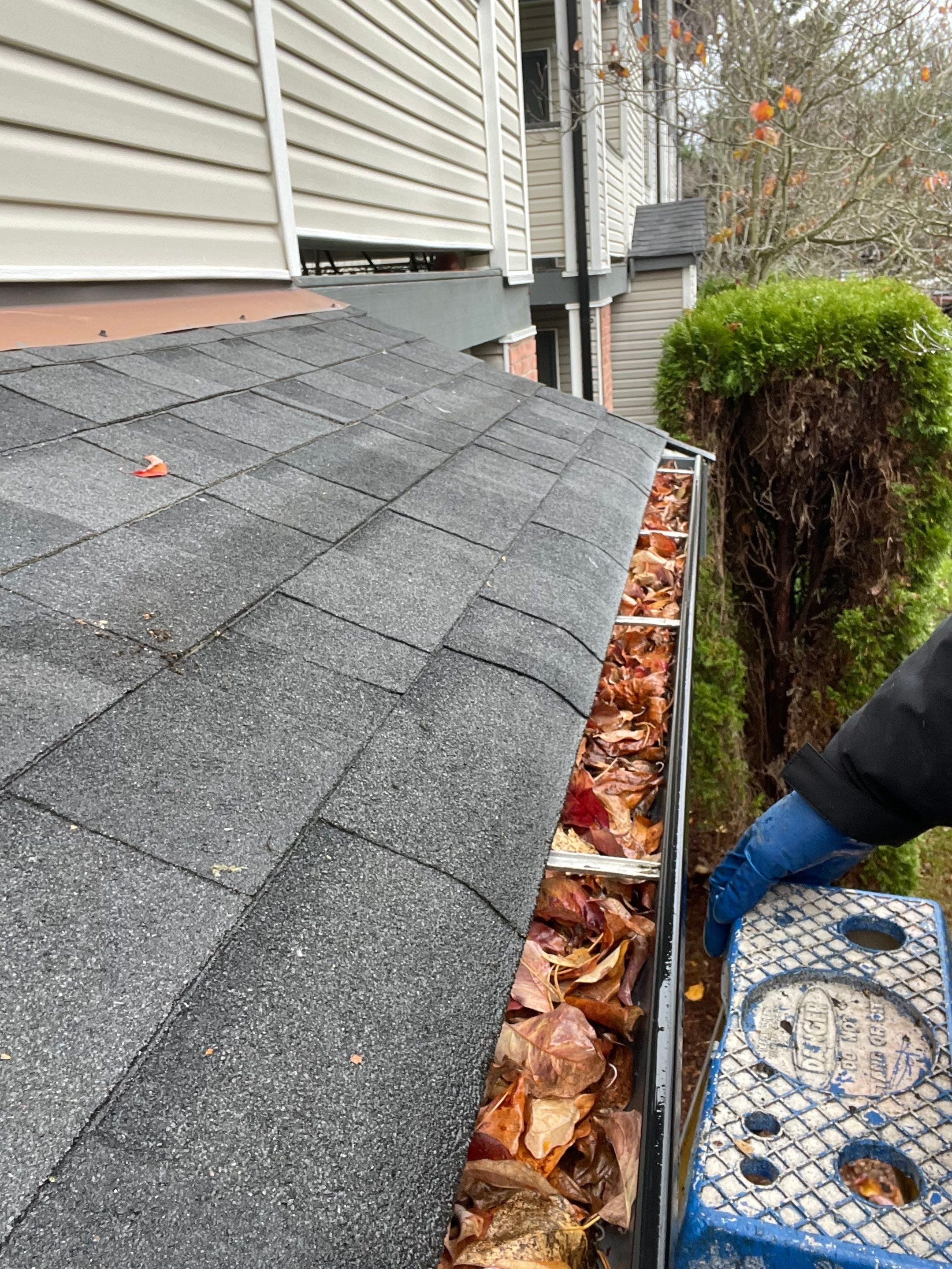Commercial gutter cleaning Bellingham, WA before photo with filled gutters