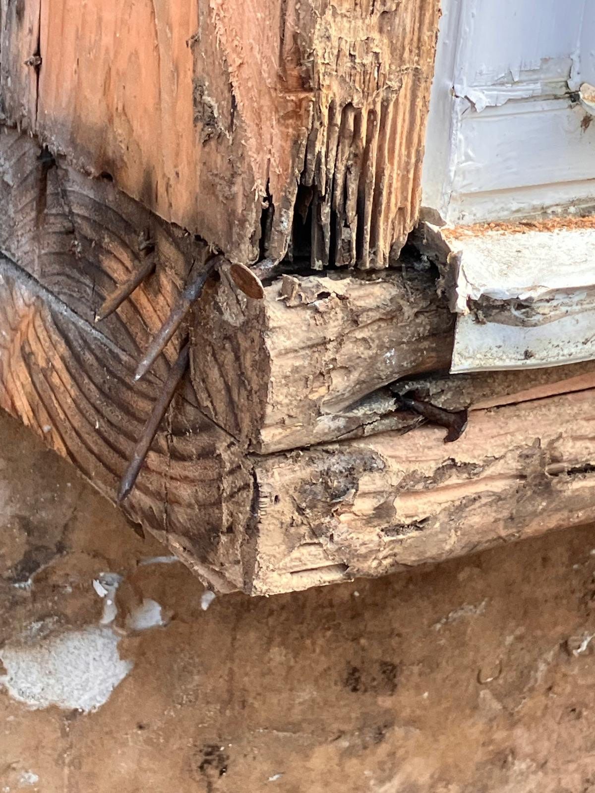 Back Wall Siding Replacement & Breezeway Roof. by Philadelphia Quality Roofing