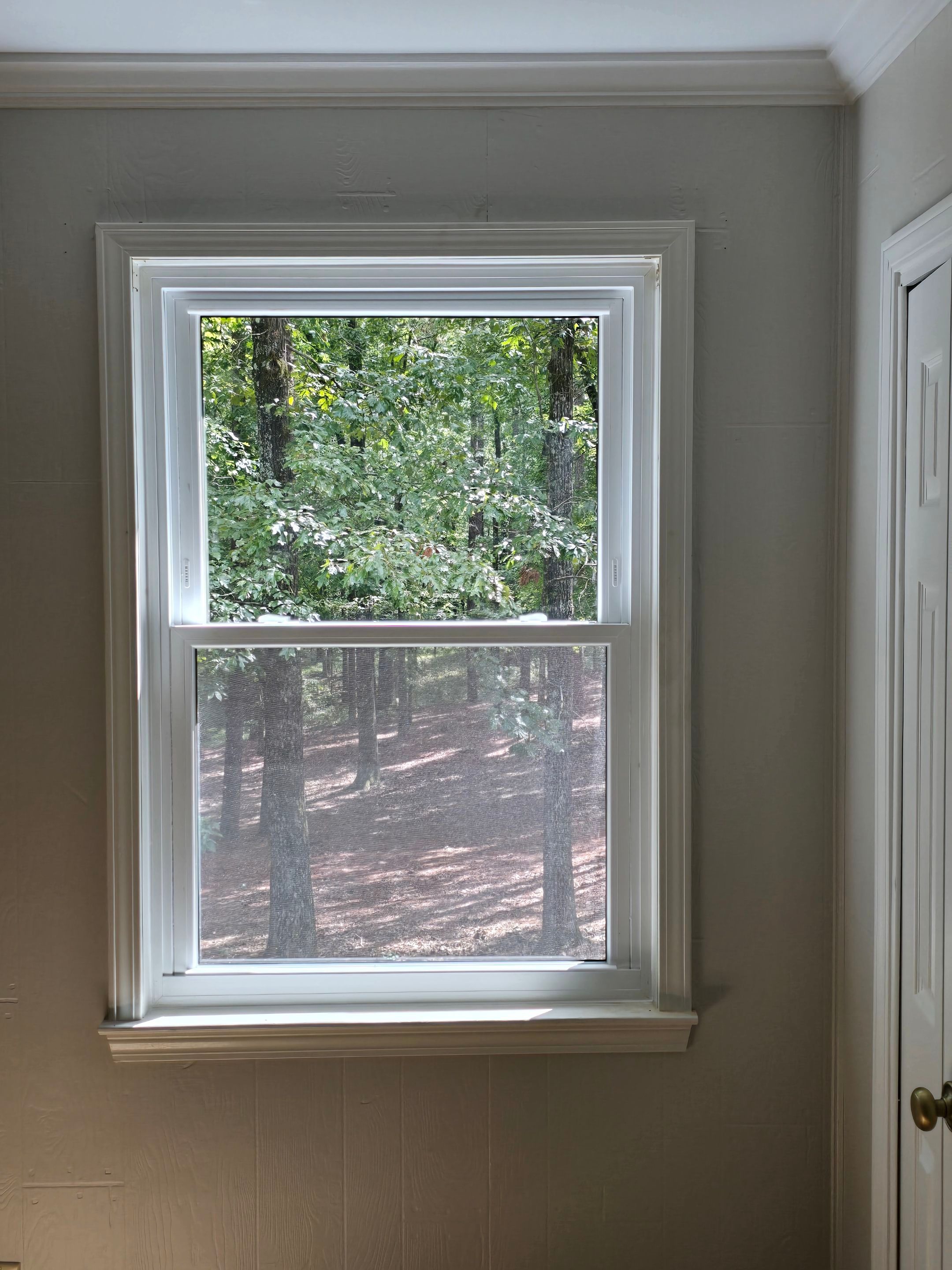 Reed Project in Chelsea by The Window Source