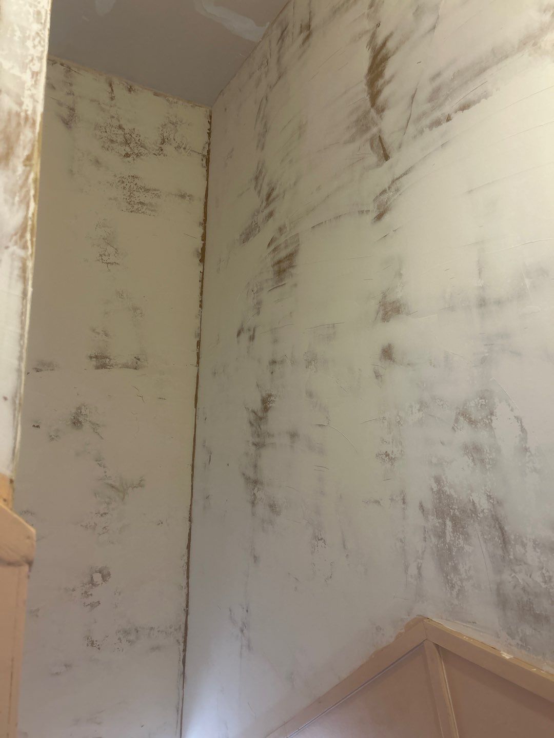 Refreshing an old back hallway for a favorite regular in Manchester's North End by The Persnickety Painters