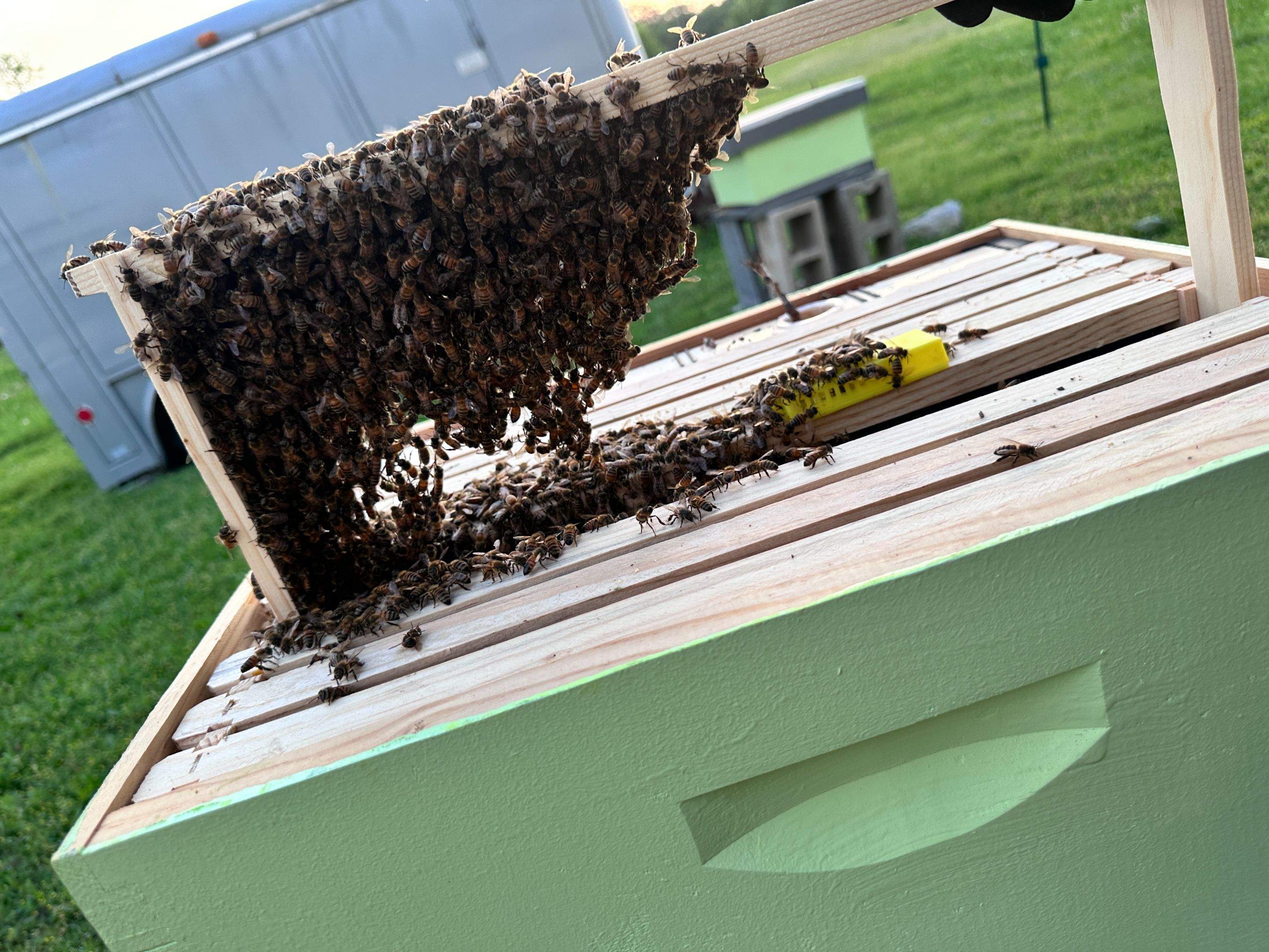 New Construction by Rockwall Honey Bee Company