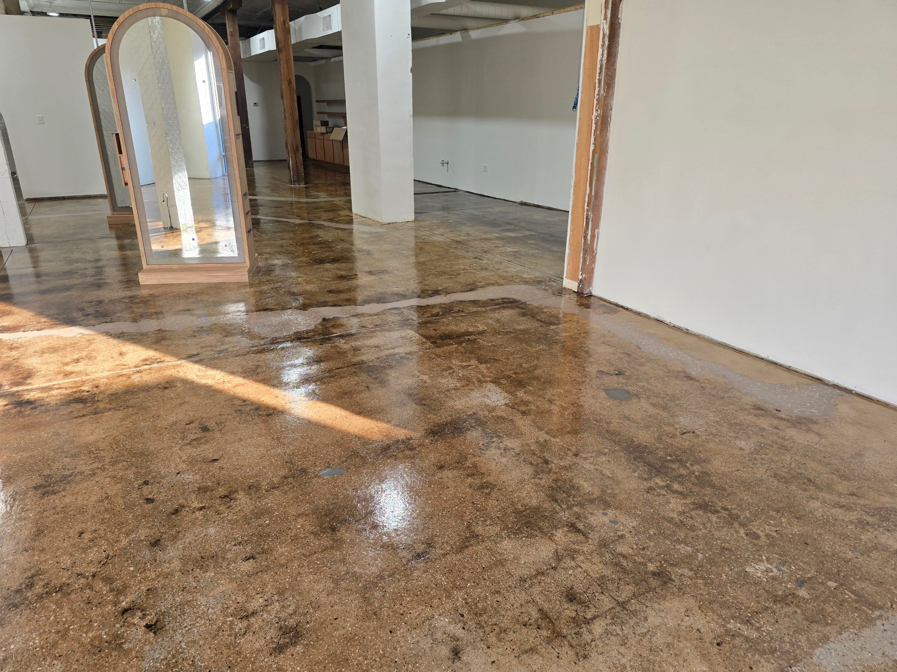 Grind & Seal Commercial Upgrade by Elite Floor Solutions