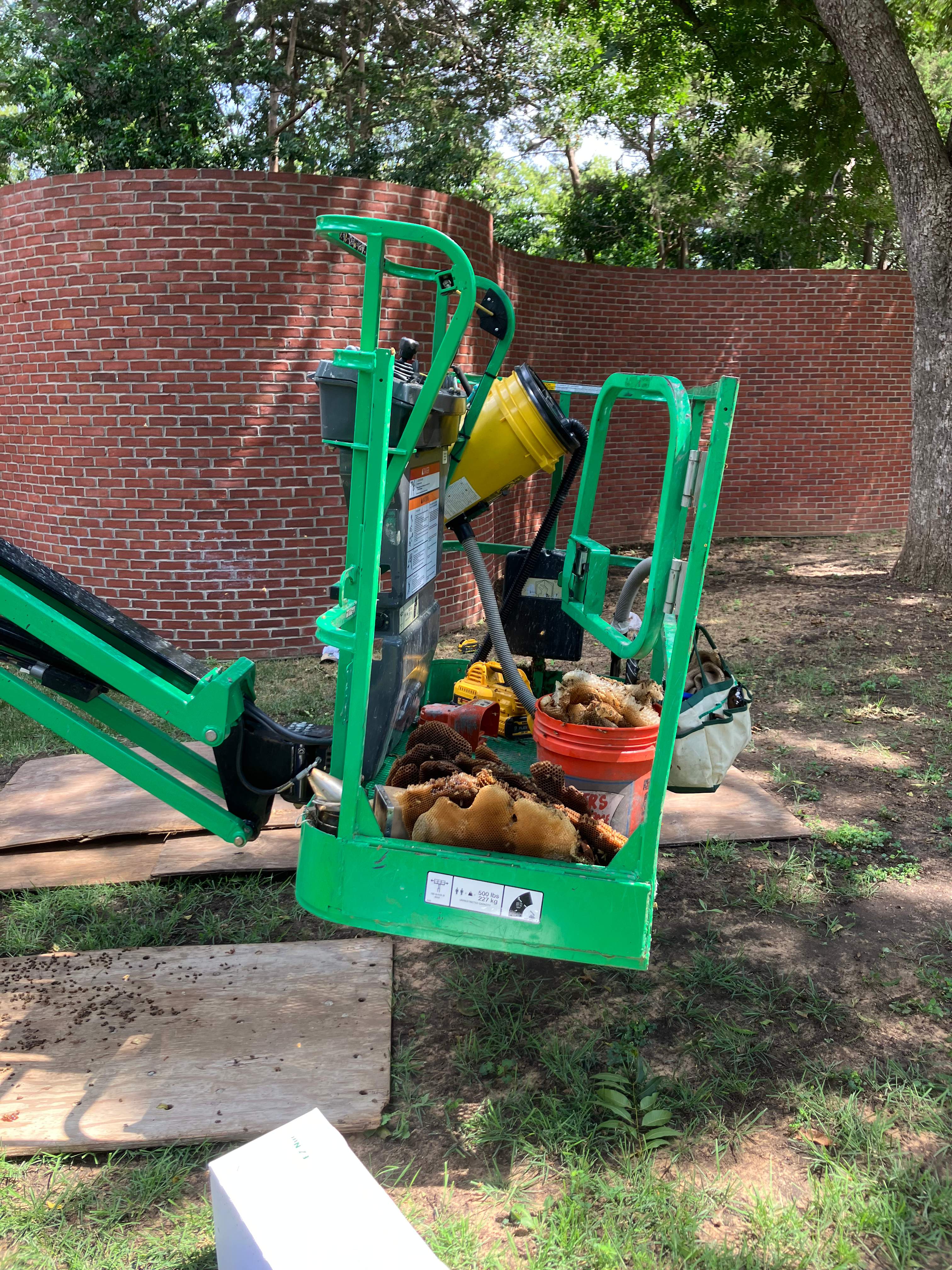 Open-Air Massive Colony by Rockwall Honey Bee Company