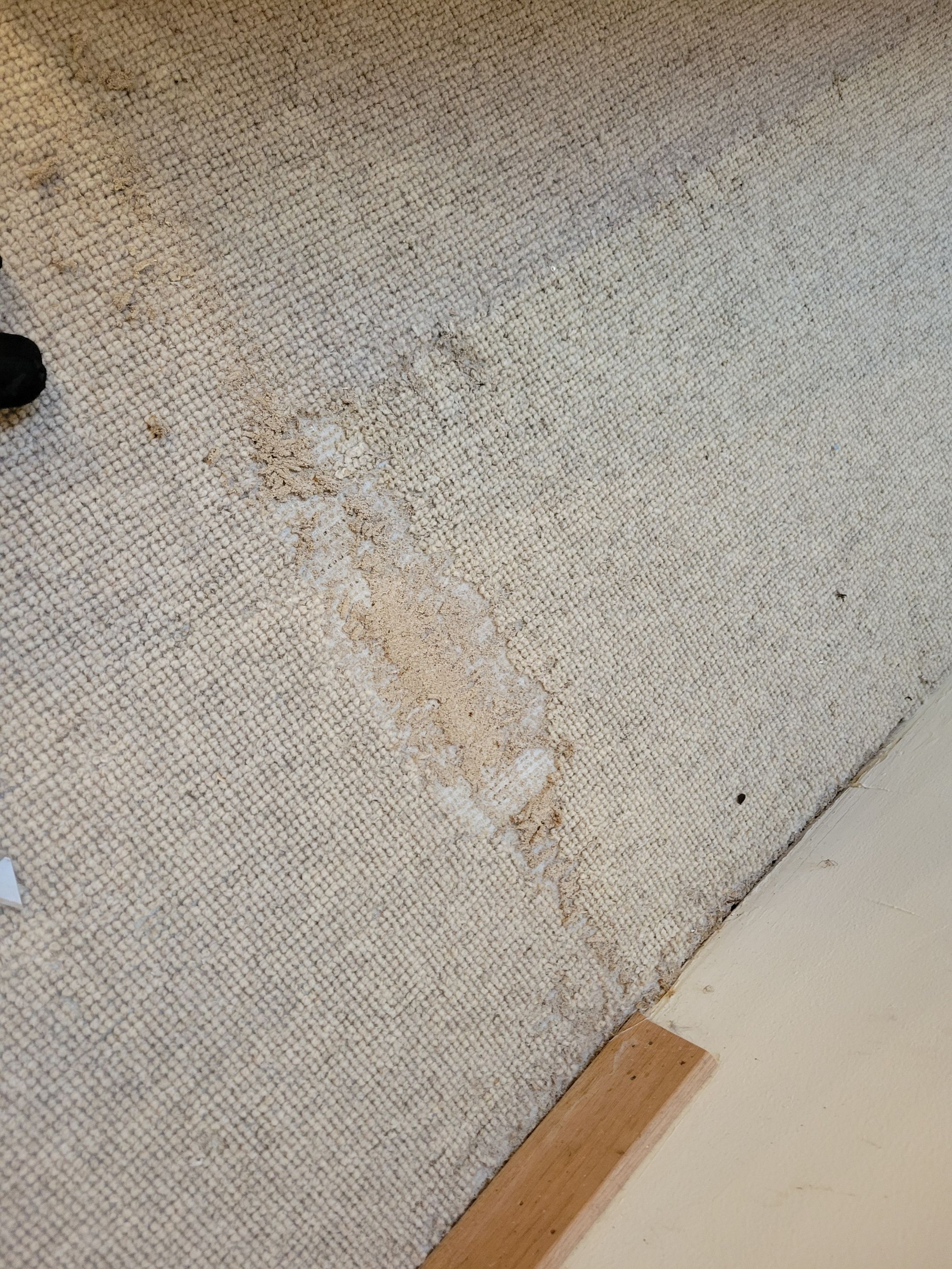Repair and Cleaning of Wool Carpeting by Ardent Carpet Restore LLC