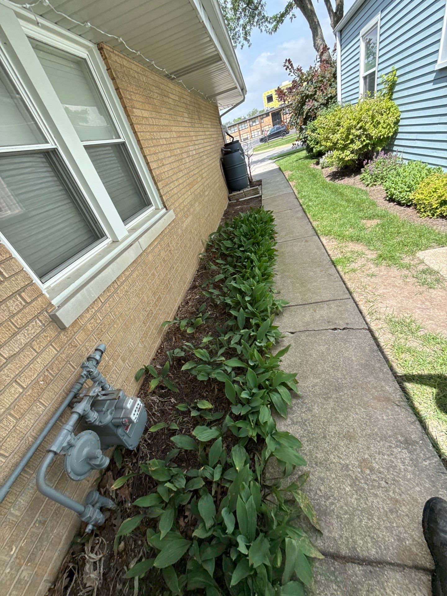 Cheris B. - Mount Prospect, IL by A&N 