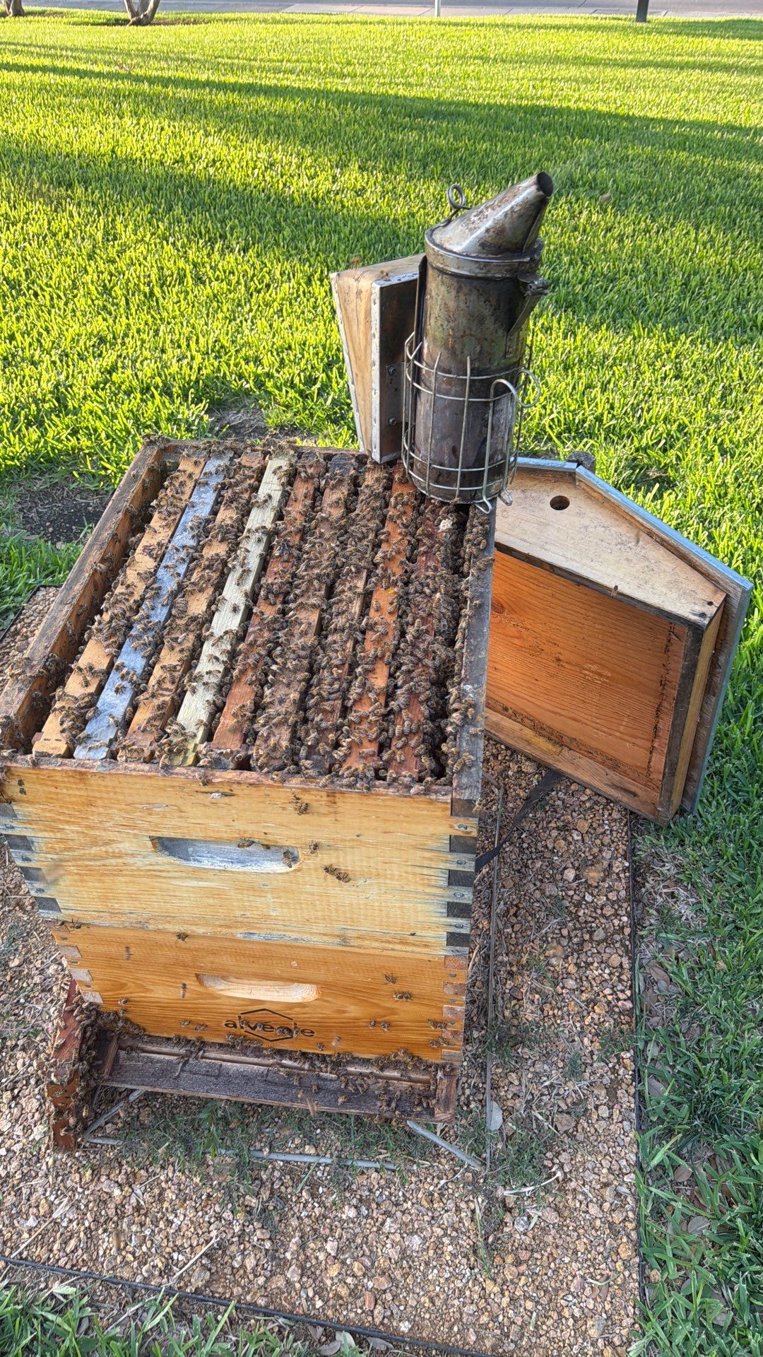 Addison by Rockwall Honey Bee Company