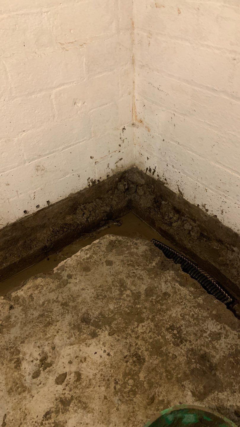 Earning Christine’s Trust in Her Forever Home by Waterproofing Northeast