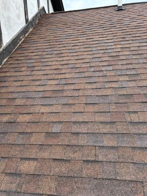 Turtle Shell gutter protection installation in Naperville, IL 60563, photograph 14