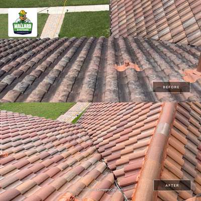 Residential Tile Roof Cleaning and Maintenance in Belle Isle