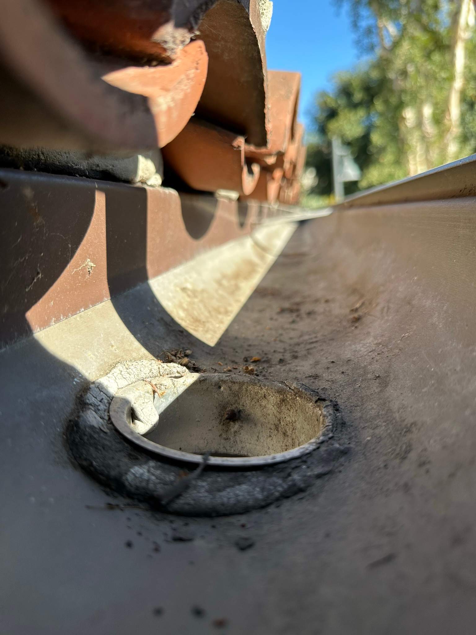 Orange County Gutter Cleaning by Property Cleaning Experts