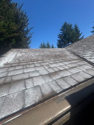 Project in Bandon