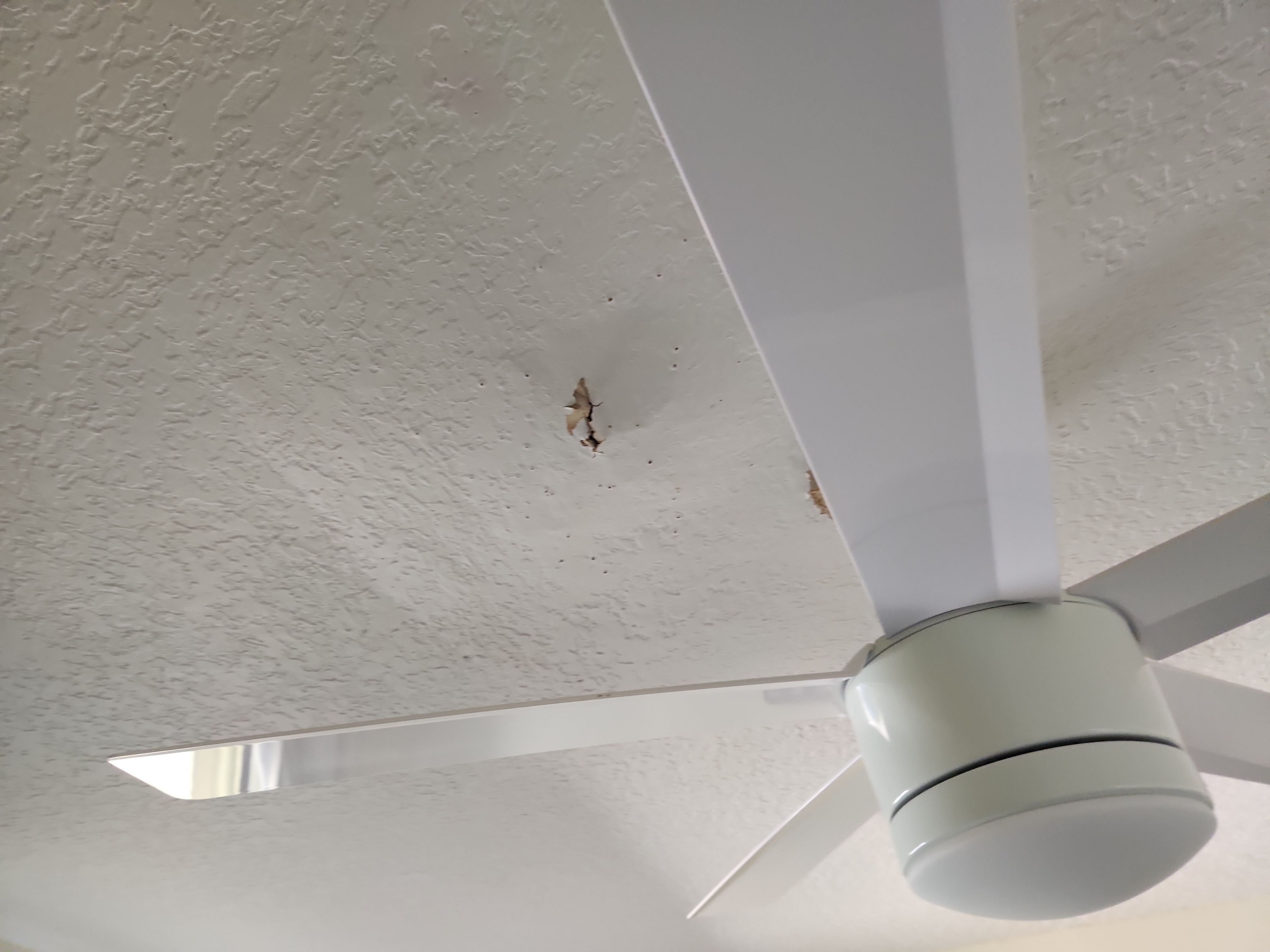 Clay Tile Roof Leak Repair and Sheathing Replacement in Hollywood by Aastro Roofing