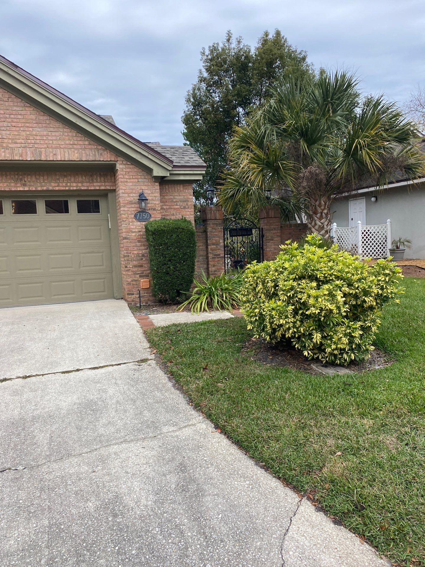 Deerwood Pointe | Tree Removal & Pine Straw Installation by ProGreen Services