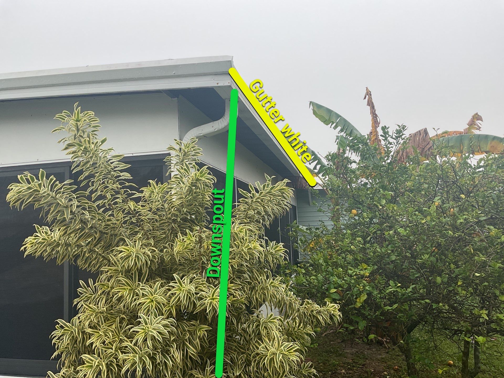 Cleaning Gutters in Fort Myers FL by Gutter Professors