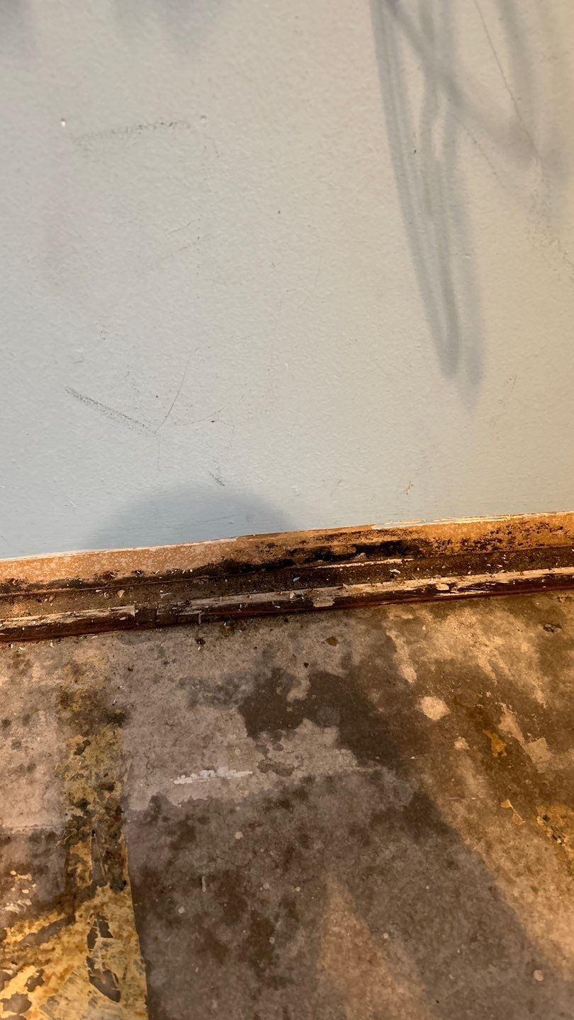 Mold Remediation by Accountable Home Services