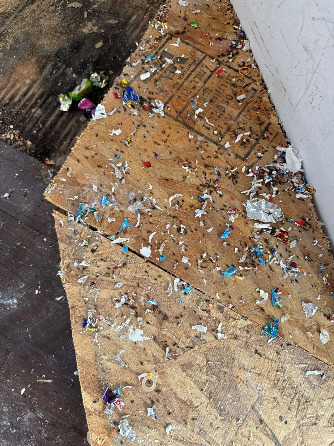 Project in Mt Morris Township by EzDry Water Mitigation & Property Restoration