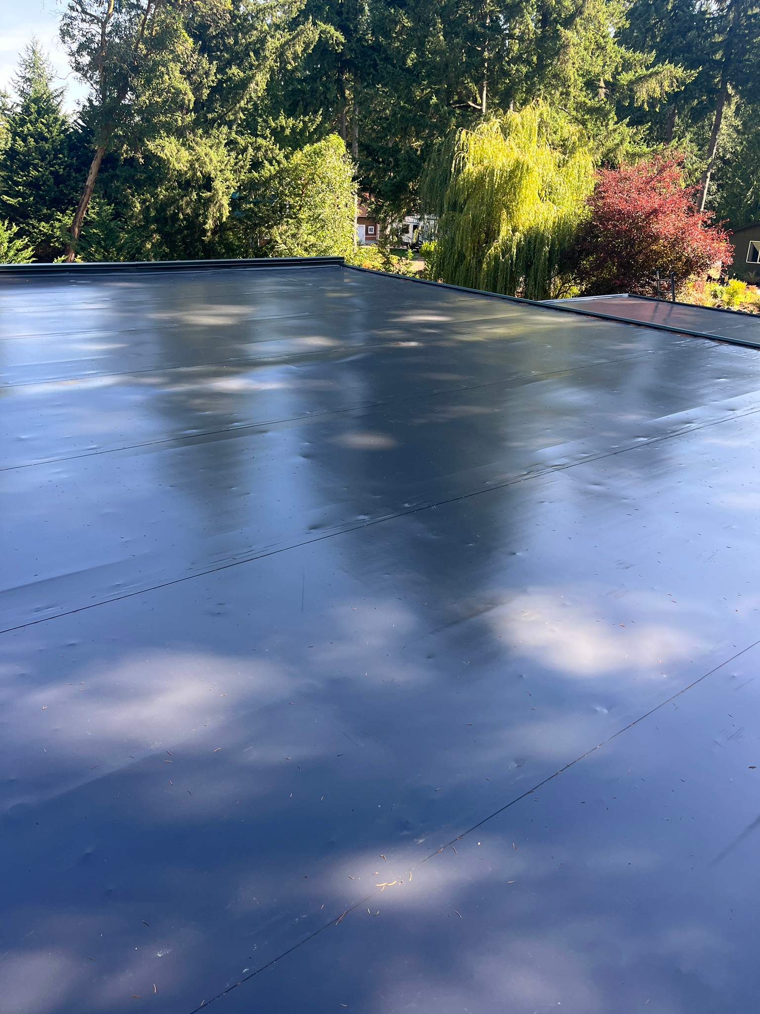 Residential Roof Replacement in Gig Harbor, WA by Hanley Construction