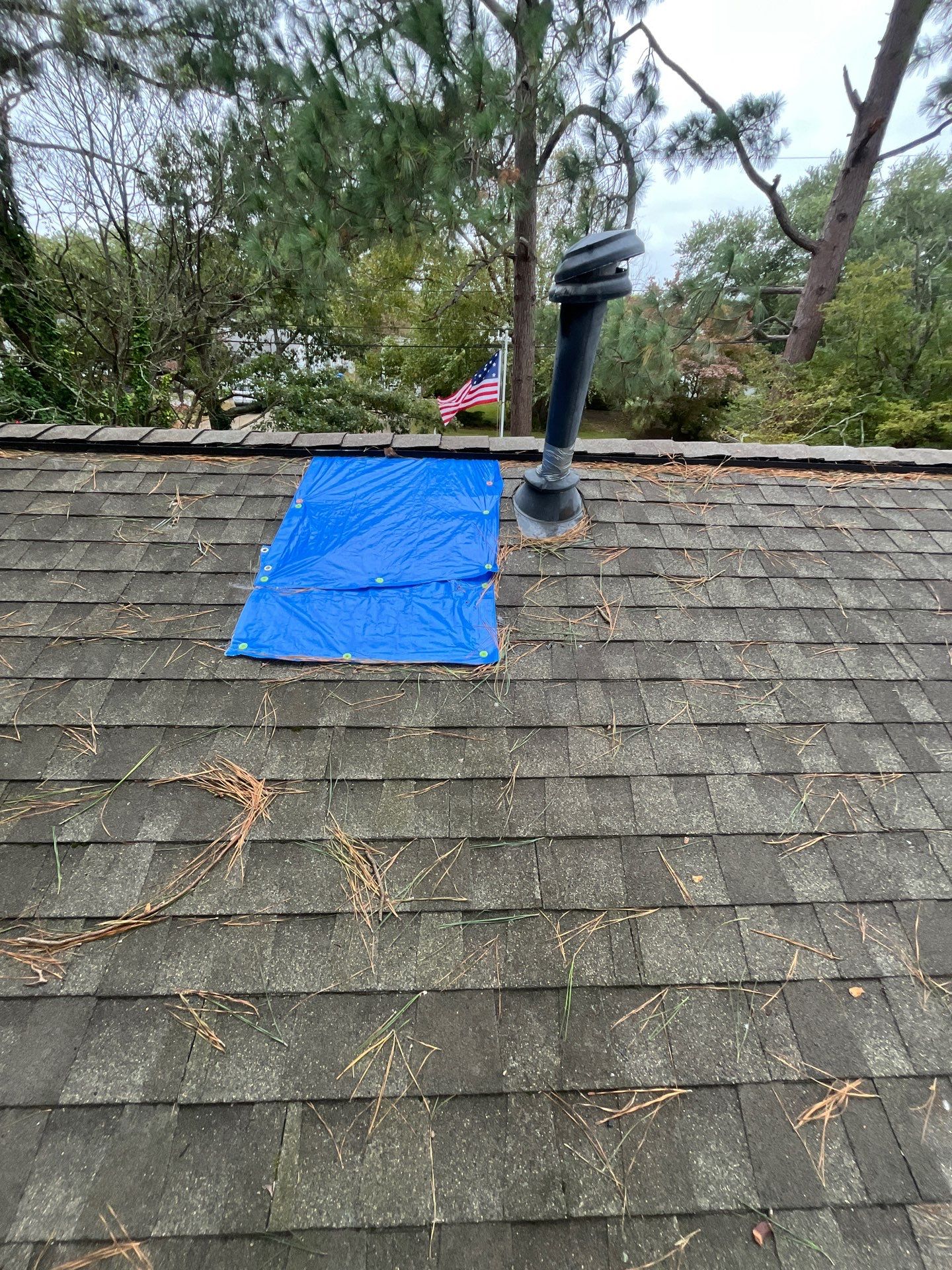 Furnace Exhaust, Water Heater Exhaust, and Roof Repair from fallen tree by Premier Chimney and Roofing