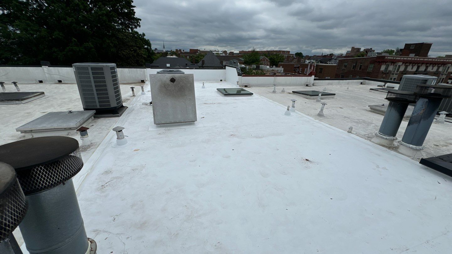 Alexandria: Carlisle Syntec TPO Flat Roof Installation by RM Banning, Inc.