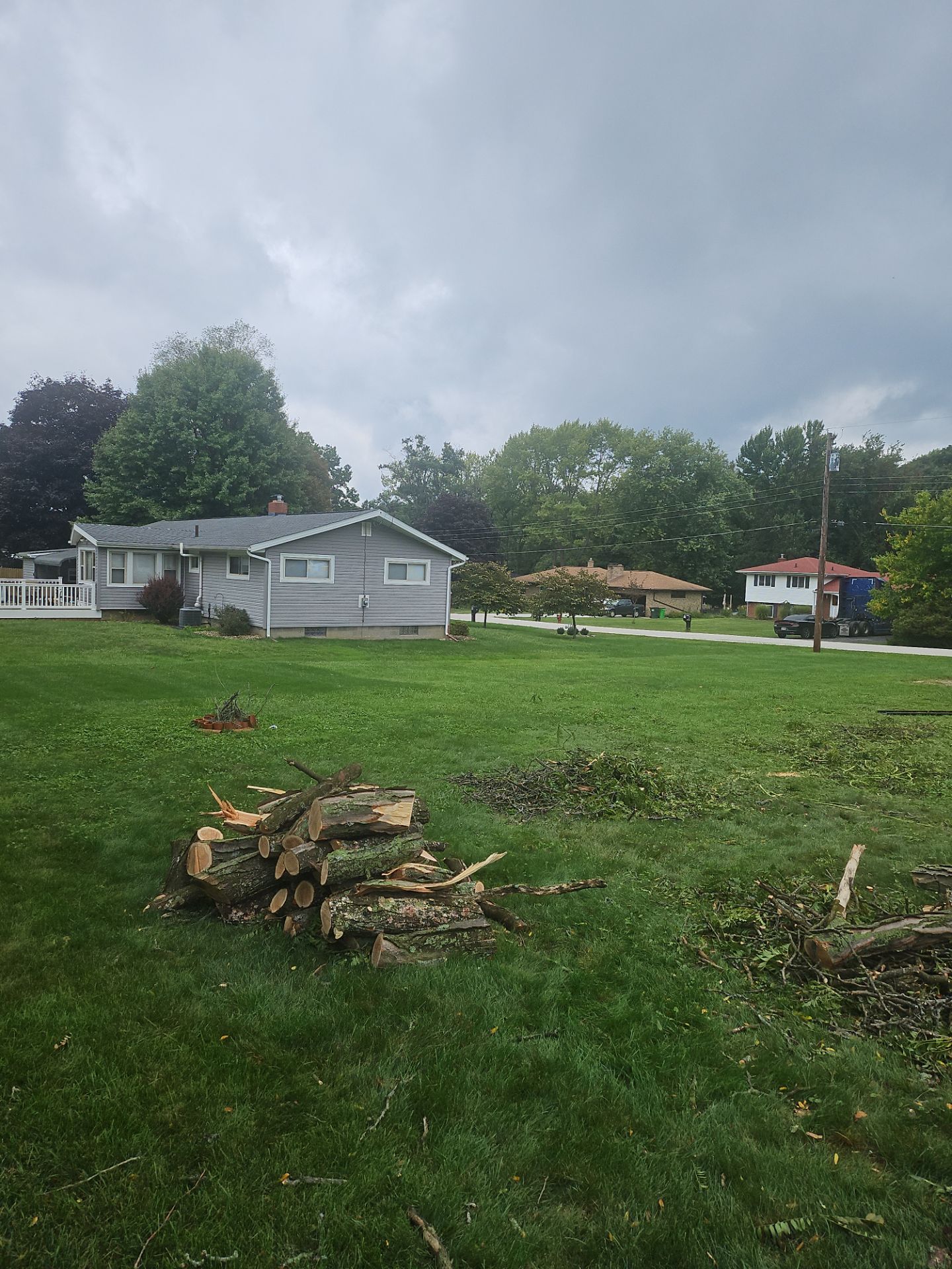 Tree Removal using Tree Removal by Mike Jones & Sons Tree Service LLC 