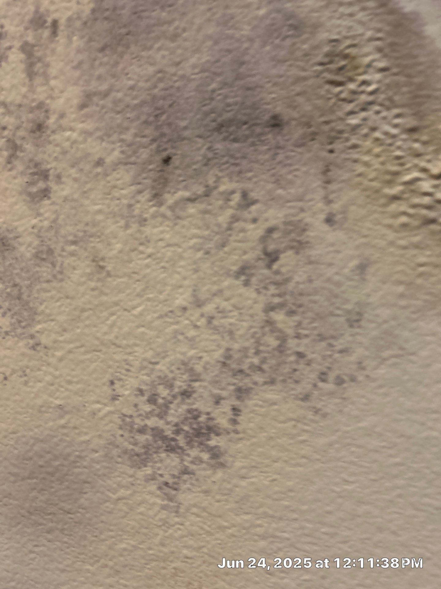 Water Damage Restoration In Sarasota by Ampm Restoration Services