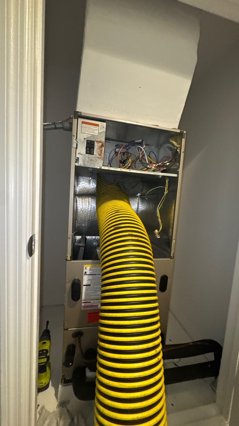 Air Ducts, Dryer Vent, Bathroom Exhaust Fans Cleaning in Groveland by Hygienic Air, Inc
