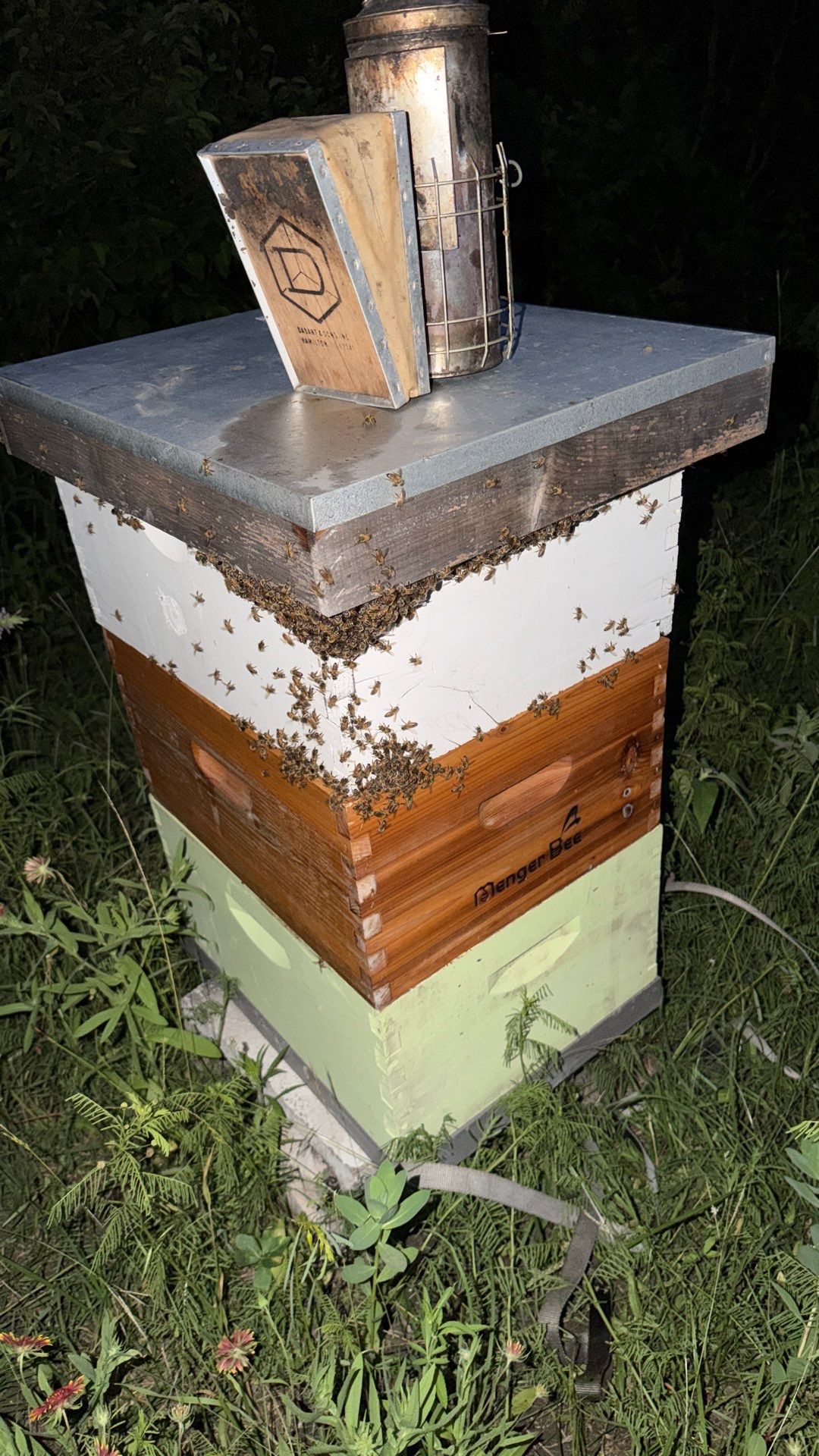 Rockwall County Ag. Exemption by Rockwall Honey Bee Company