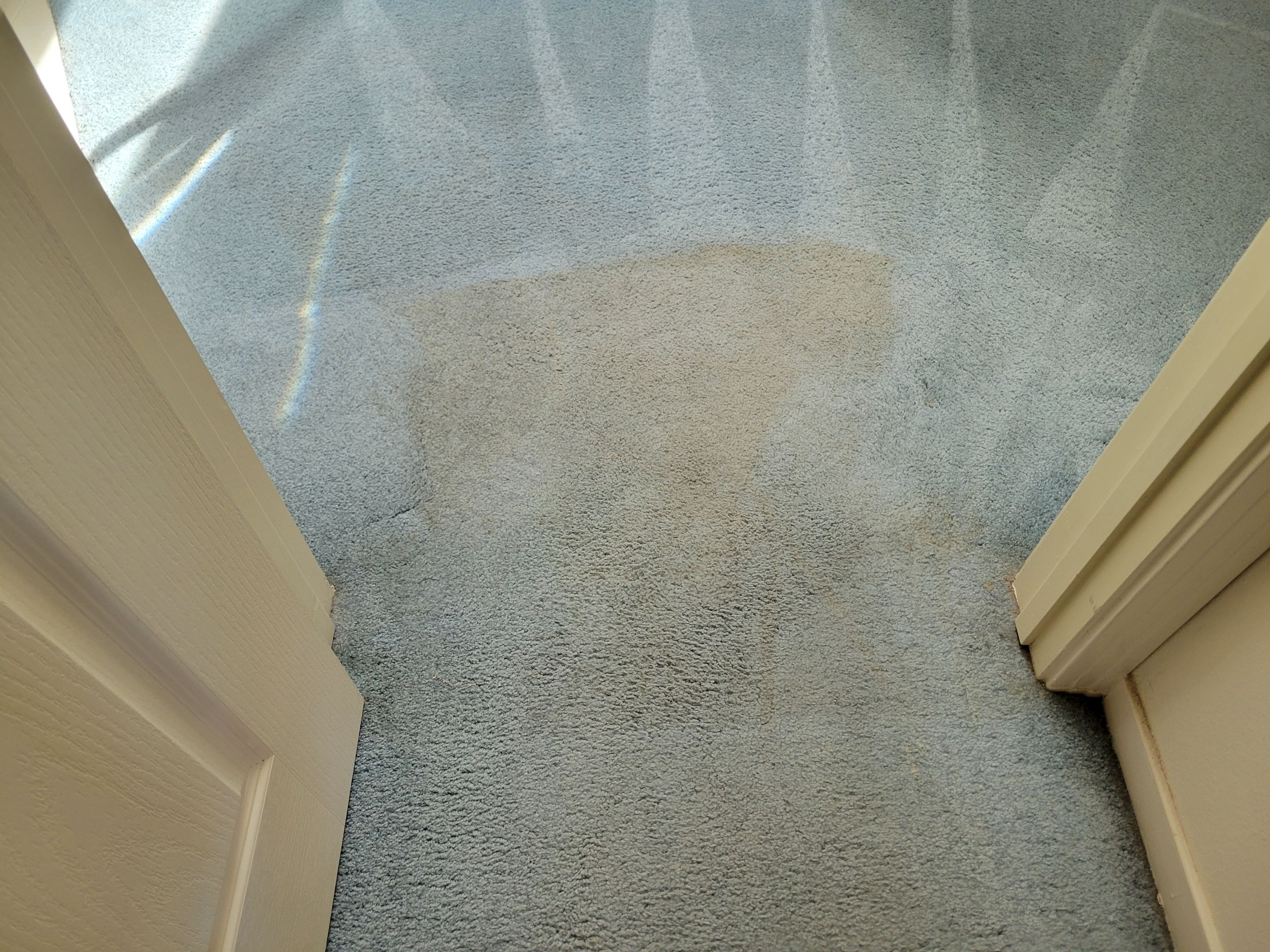 Overdue, Much Needed Carpet Clean by Ardent Carpet Restore LLC