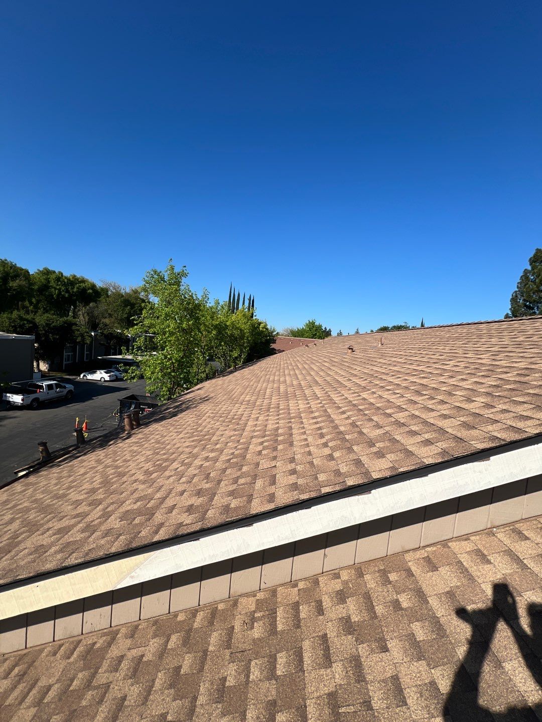 Removed tile from roof and replaced with shingles by Straight Edge Roofing Inc